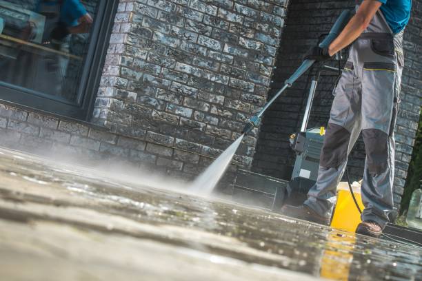 Animal Enclosure Cleaning in Piney Point Village, TX